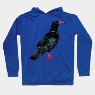 Cornish Chough, Cornwall Hoodie